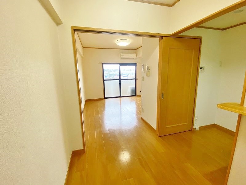 エヴァーグリーンＮ その他7