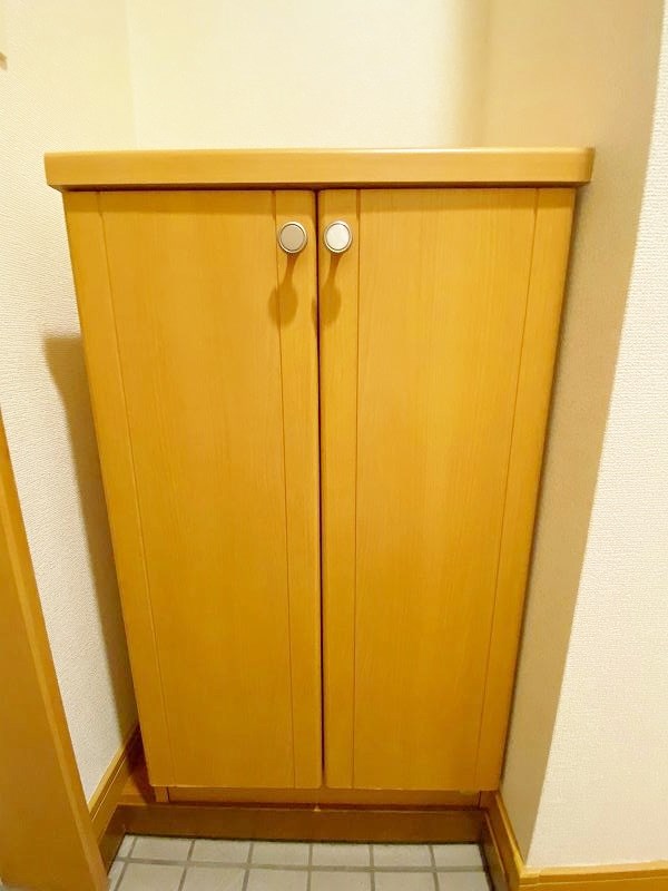 エヴァーグリーンＮ その他10