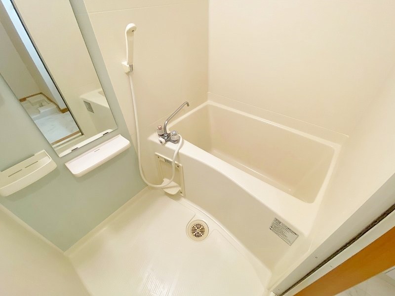 エヴァーグリーンＮ その他16