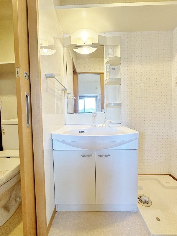 Ｆｅｌｔ１１１３（フェルト１１１３） その他1