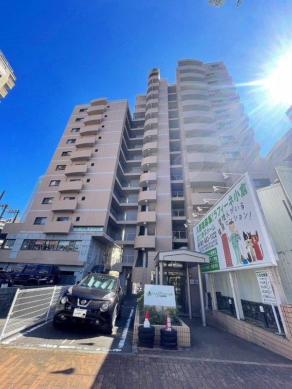 ラフィーネ小倉 406号室 外観