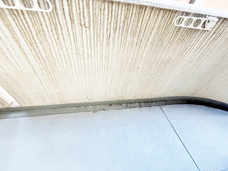 アヴィニール吉野 その他35