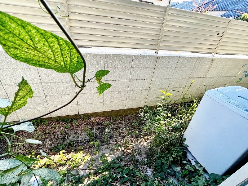 オアシス清水 その他28