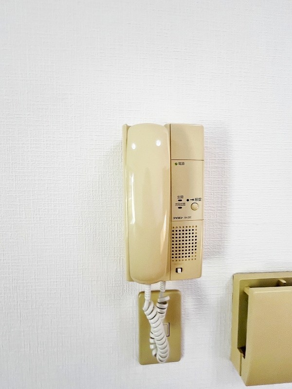 カーザミア その他3