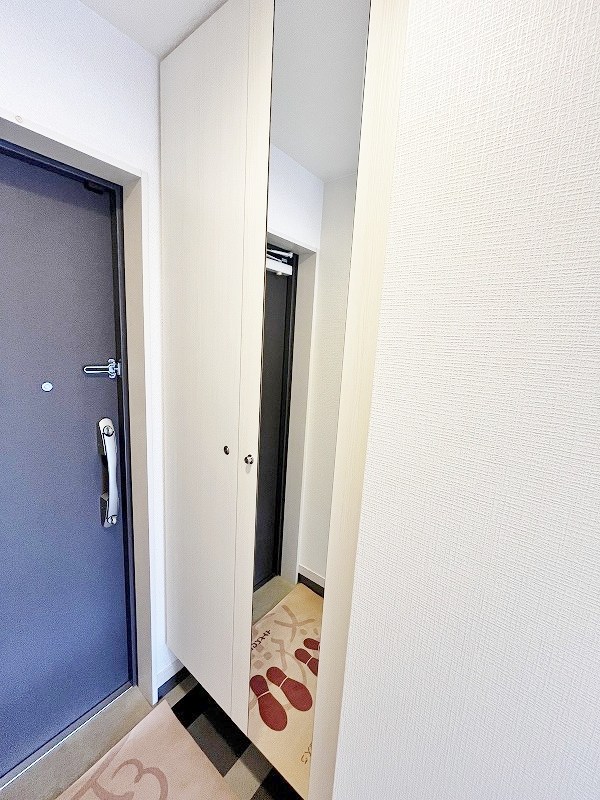 Ｆｅｌｔ１１１３（フェルト１１１３） その他11