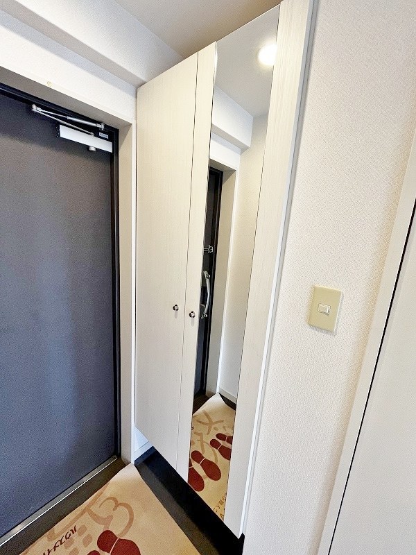 Ｆｅｌｔ１１１３（フェルト１１１３） その他10