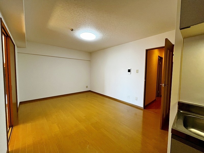 ソフィア  その他33