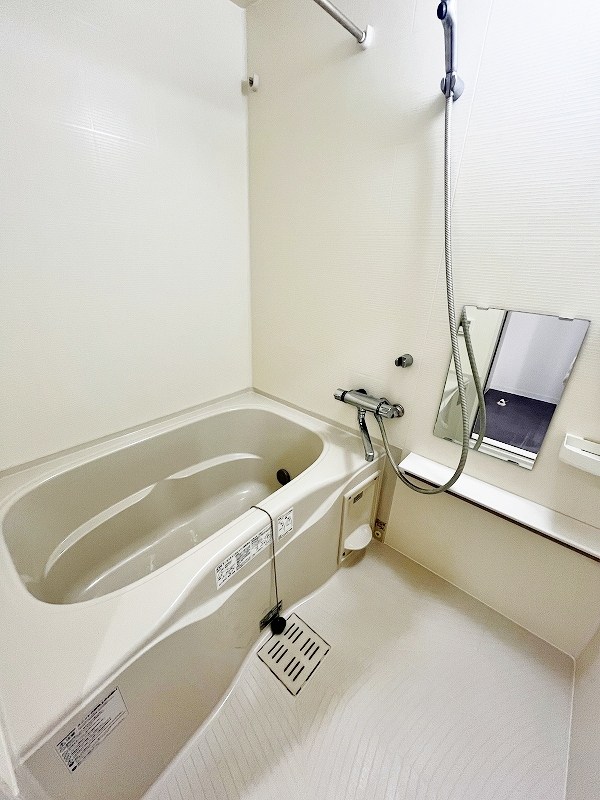 フェリシエ馬借  その他8