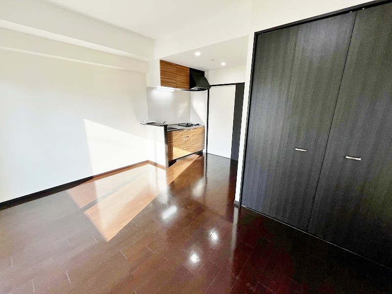 フェリシエ馬借  その他26