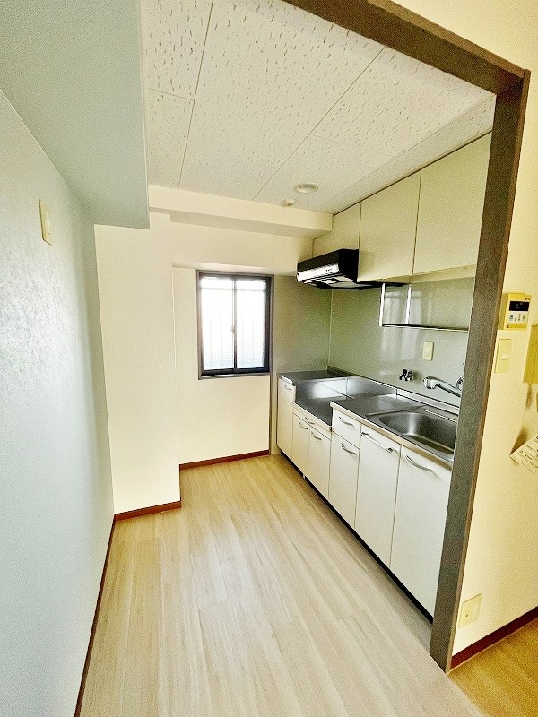 ロイヤルマジェスティ  その他22