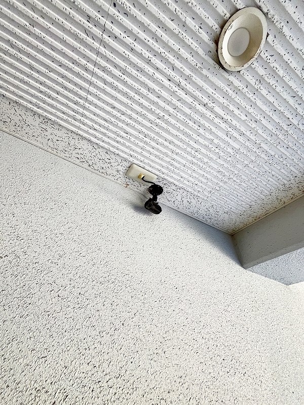 ＬＥＯＮ篠崎 その他外観4