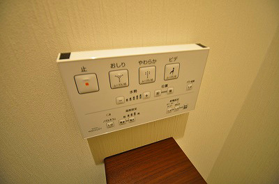 ギャラクシーヴィーラブライト その他12