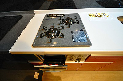 ギャラクシーヴィーラブライト その他13