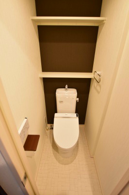 ギャラクシーヴィーラブライト その他4