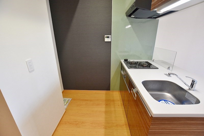 ギャラクシーヴィーラブライト  その他23