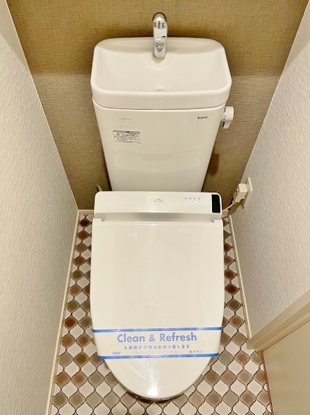 ギャラクシーヴィーラブライト その他11