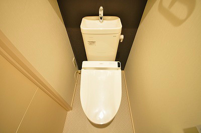 ギャラクシーヴィーラブライト  その他2