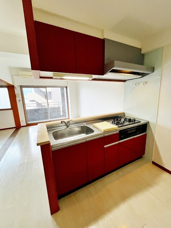 アヴィニールグランデ金田 キッチン