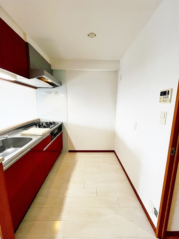 アヴィニールグランデ金田 その他27