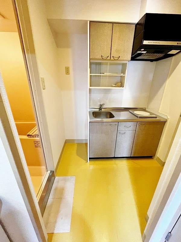 ユーフォリウム・マタマ その他16