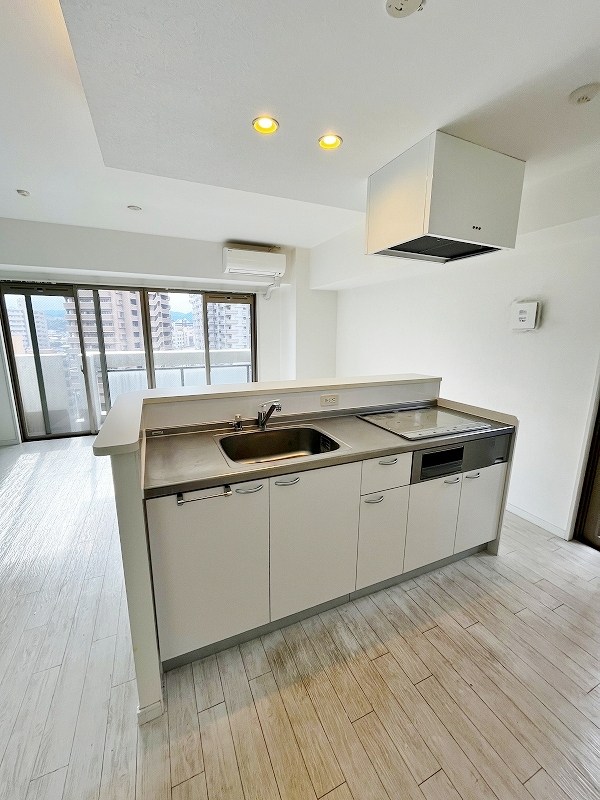 ピュアライフ金田 キッチン