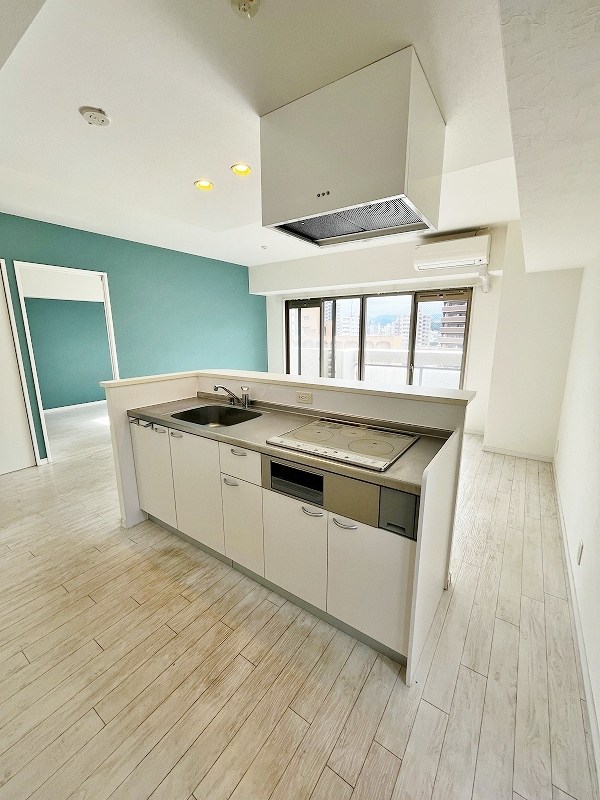 ピュアライフ金田 その他32