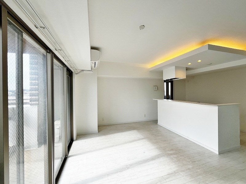 ピュアライフ金田 その他35