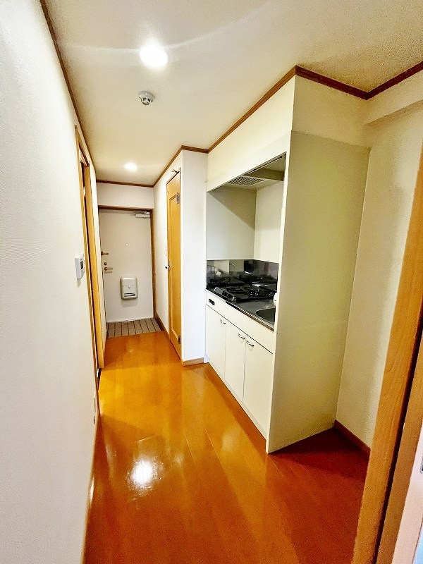 セトルイン鳳 その他27