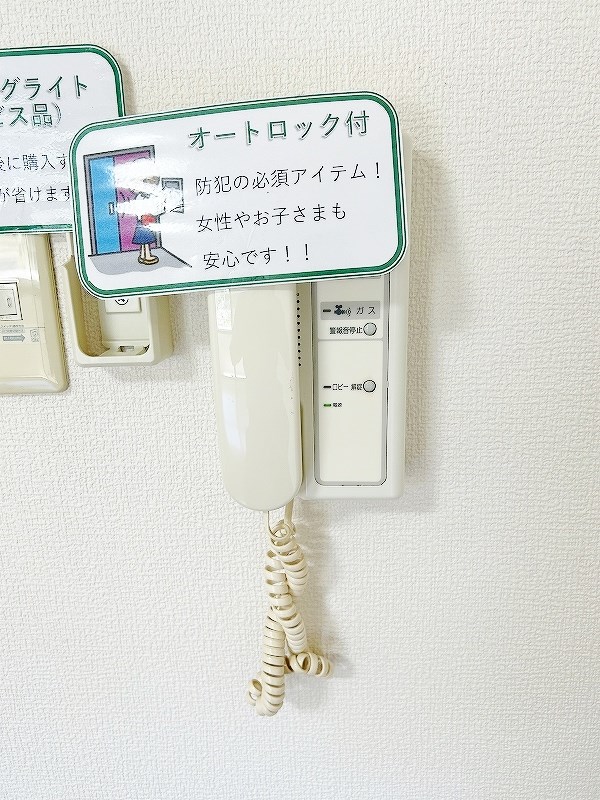 スターゲートマジョリティー その他29