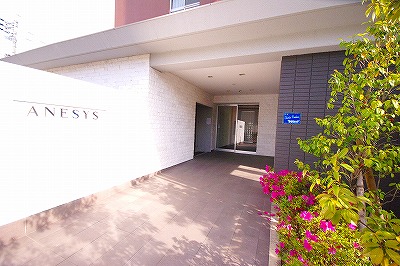 ＡＮＥＳＹＳ（アネシス） その他6