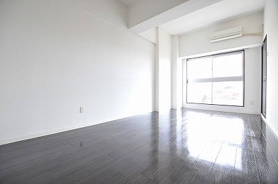 ＡＮＥＳＹＳ（アネシス） その他15