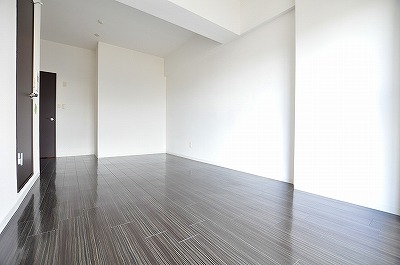 ＡＮＥＳＹＳ（アネシス） その他16