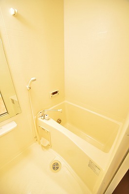 ＡＮＥＳＹＳ（アネシス） 風呂画像