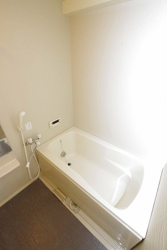 ＡＮＥＳＹＳ（アネシス） その他12