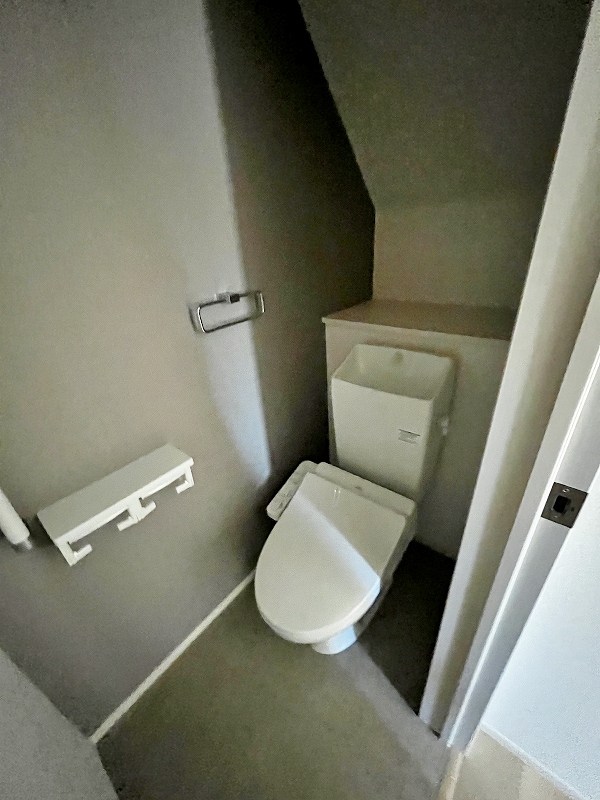 ルシオール その他2