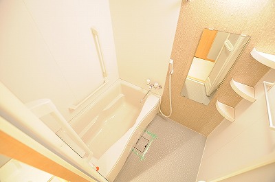 ＬＥＡＤ真鶴（リード真鶴）(高齢者向け優良賃貸住宅) 風呂画像