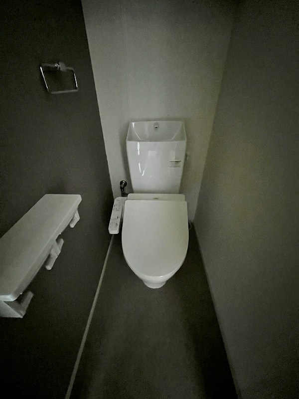 ルシオール その他11