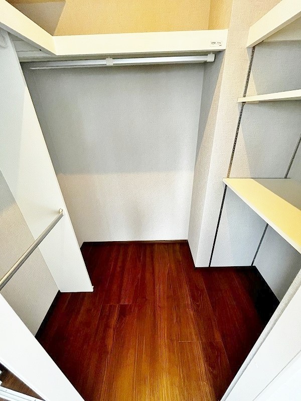 ギャラクシーヴィーラブライト  その他4