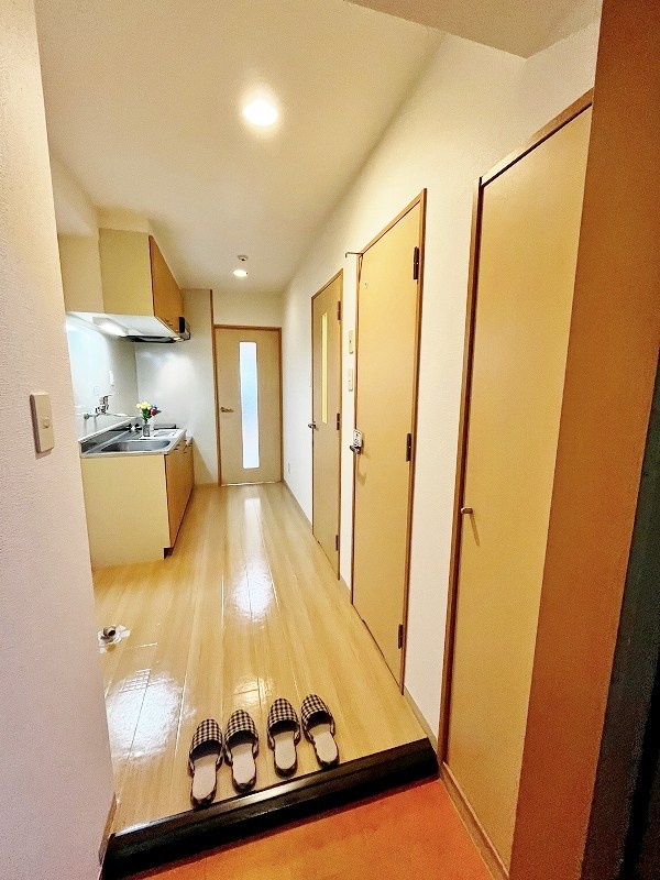 デザイナープリンセス７７ その他11