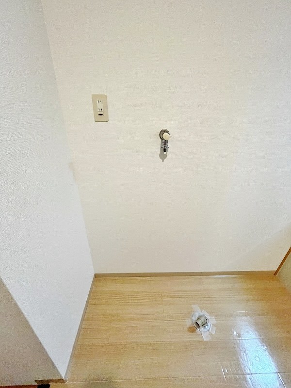 デザイナープリンセス７７ その他13