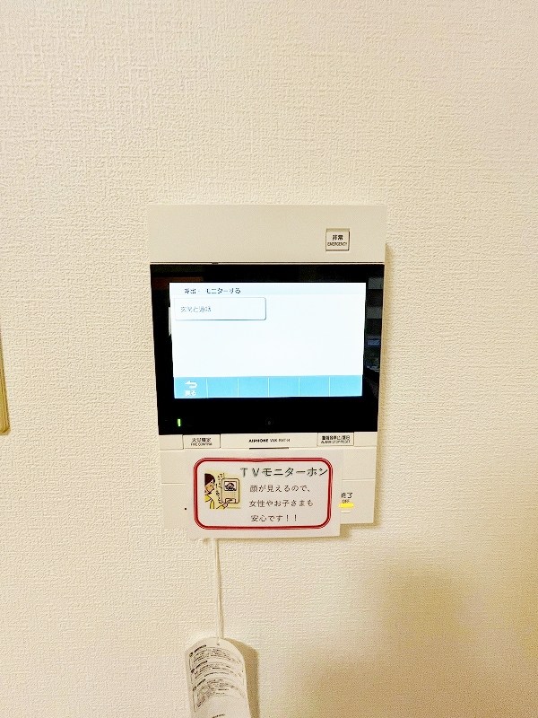 デザイナープリンセス７７ その他3