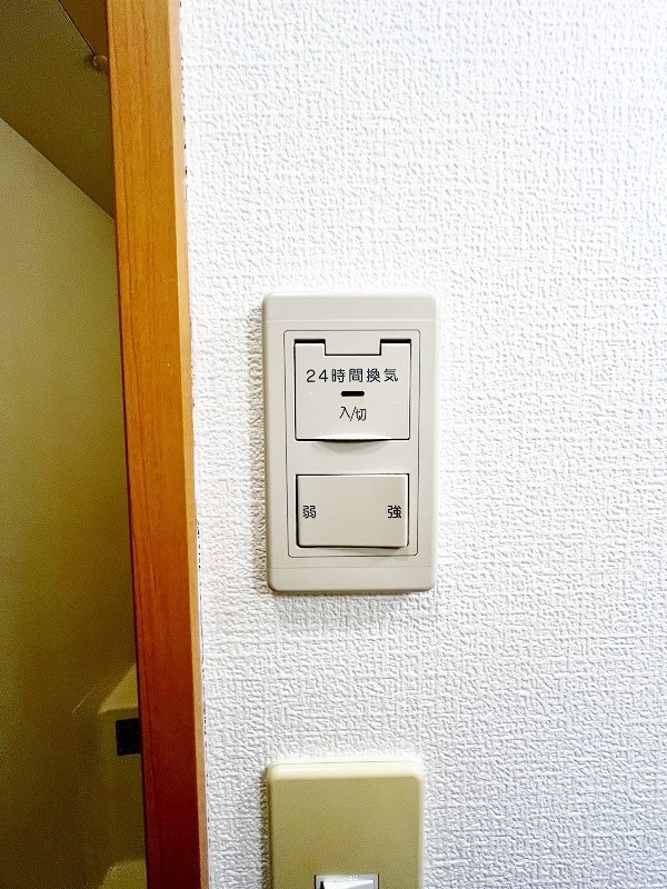 デザイナープリンセス７７  その他21