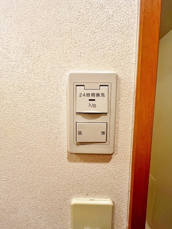 デザイナープリンセス７７  その他21