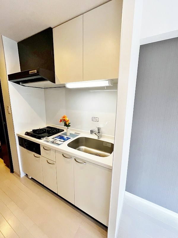 デザイナープリンセス・リバーサイド キッチン