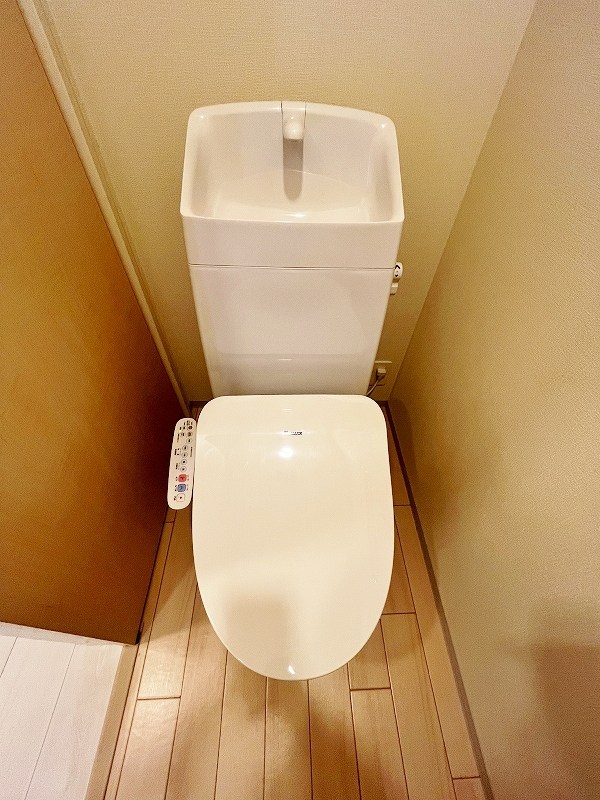 プランドール　リサ  その他10