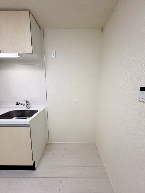 プランドール　リサ  その他17