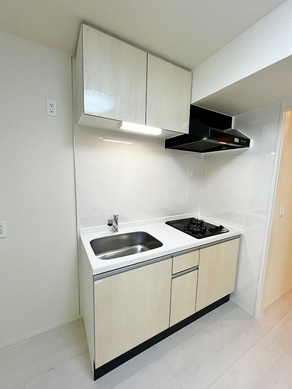 プランドール　リサ  その他15