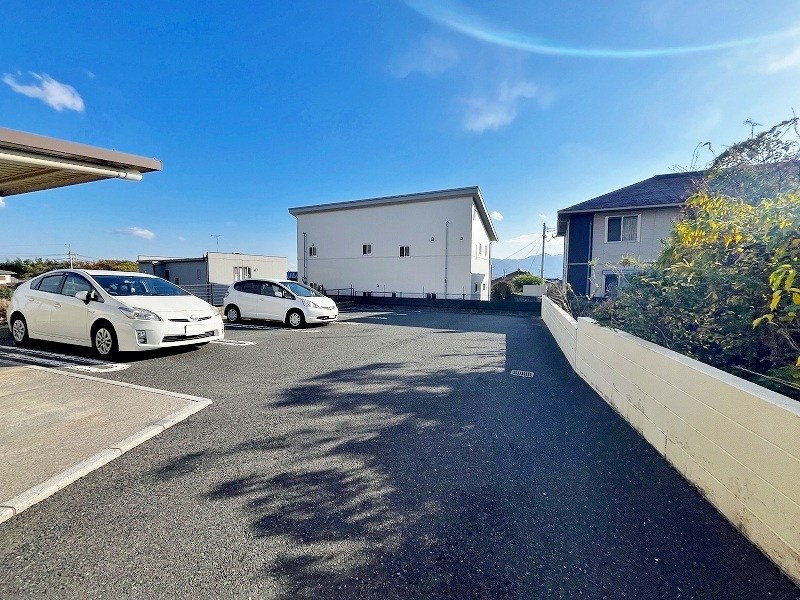 クリスマスローズⅠ その他外観1