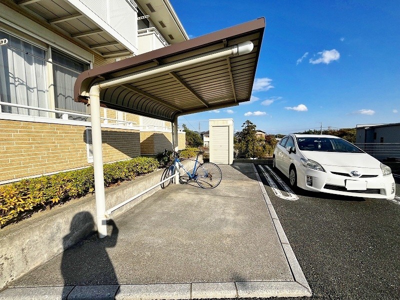 クリスマスローズⅠ その他外観2