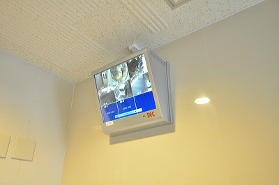 セトルイン鳳 その他5